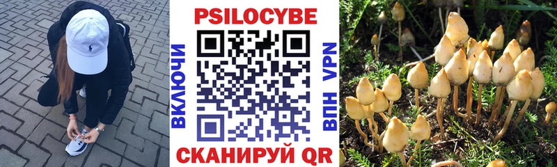 наркошоп Спасск Псилоцибиновые грибы мухоморы